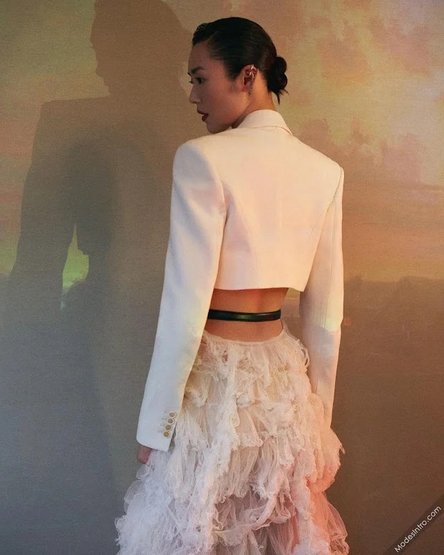 Liu Wen