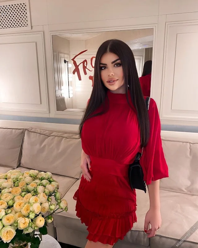 Vlada Babak